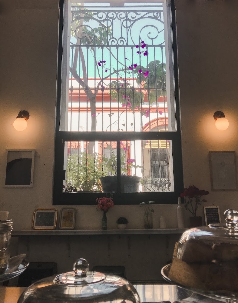 Estación de Café Chiapas