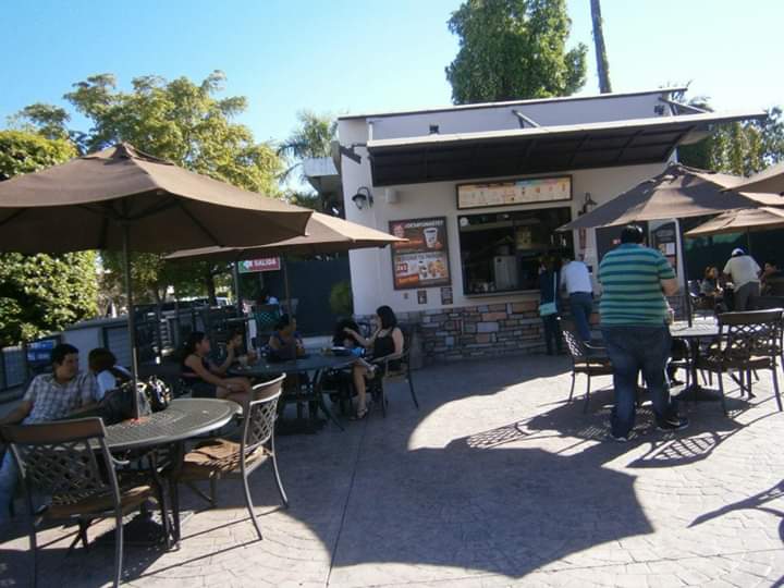 CAFFENIO Morelos, Los Mochis